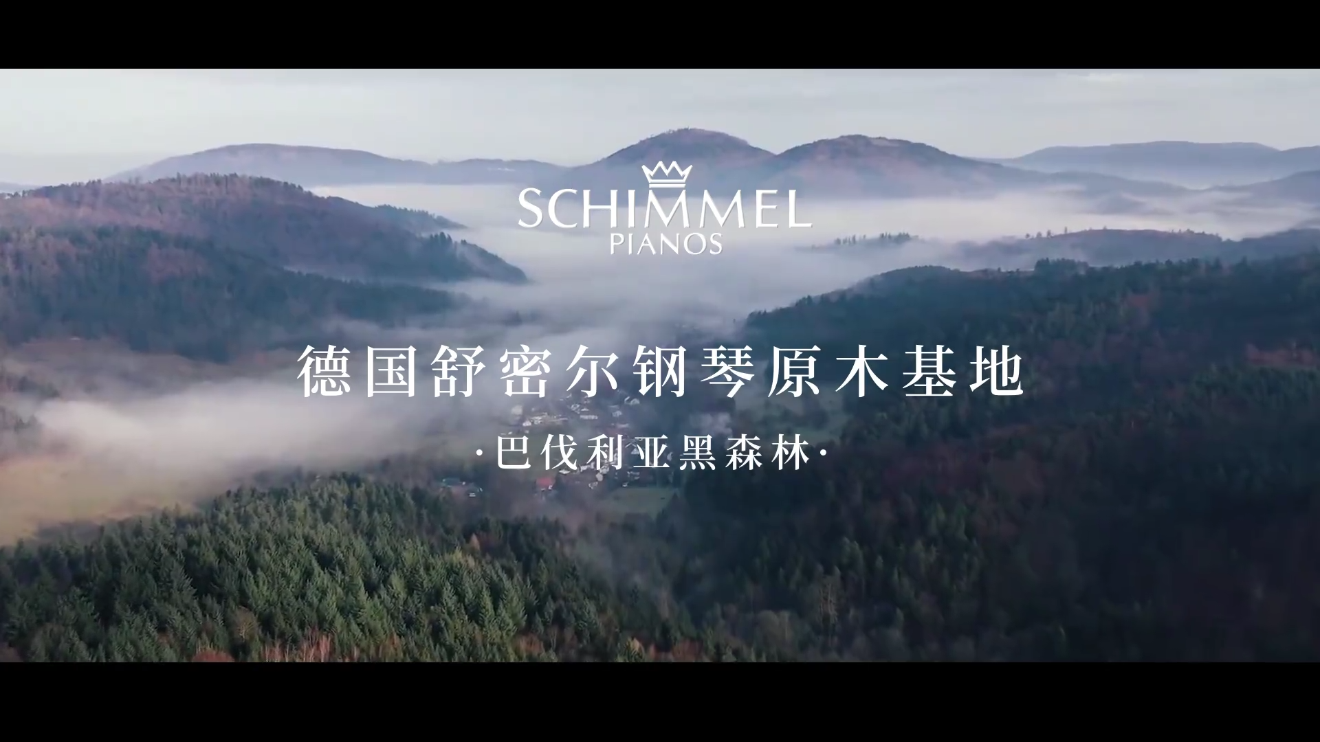 SCHIMMEL鋼琴音板|源自黑森林的和鳴 盡顯剛柔并濟之美